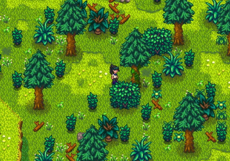 Where to find moss in Stardew Valley