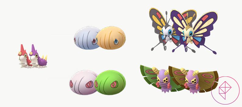 Shiny Wurmple, Silcoon, Cascoon, Beautifly, and Dustox with their normal forms. Shiny Wurmple turns purple, Silcoon turns golden, Cascoon turns green, Beautifly gets a gold tint, and Dustox also gets a gold haze over it.