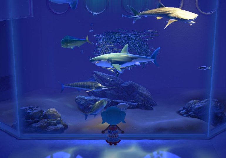 Animal Crossing’s aquarium experience is going on tour — here’s how it works