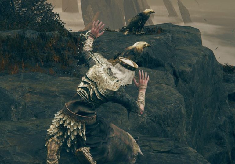 Elden Ring DLC’s screechy birds are scaring the crap out of players