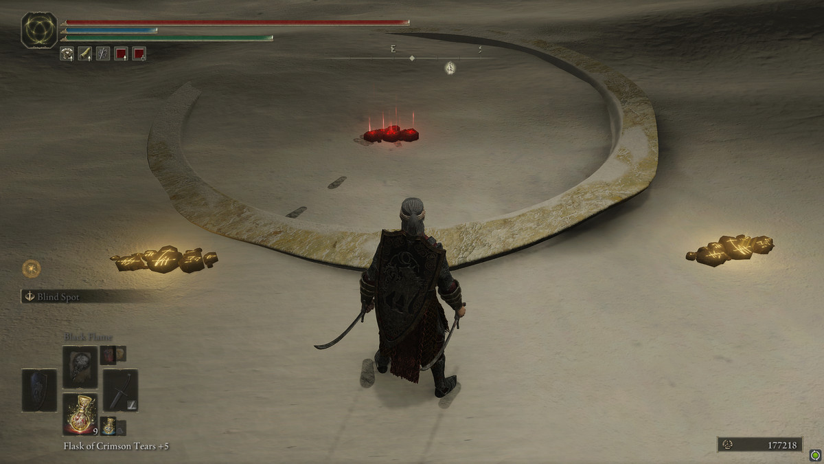 Elden Ring Shadow of the Erdtree summon signs for Thiollier and Ansbach at the Leda fight