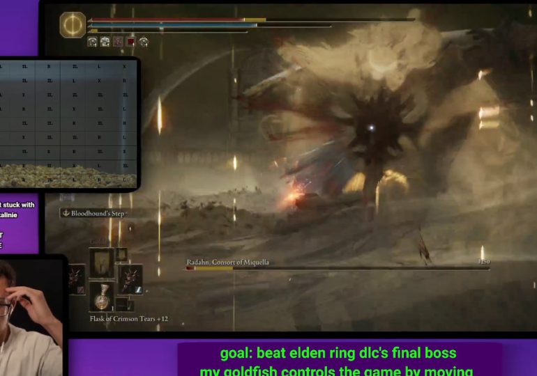 This goldfish beat the Elden Ring DLC’s final boss on Twitch