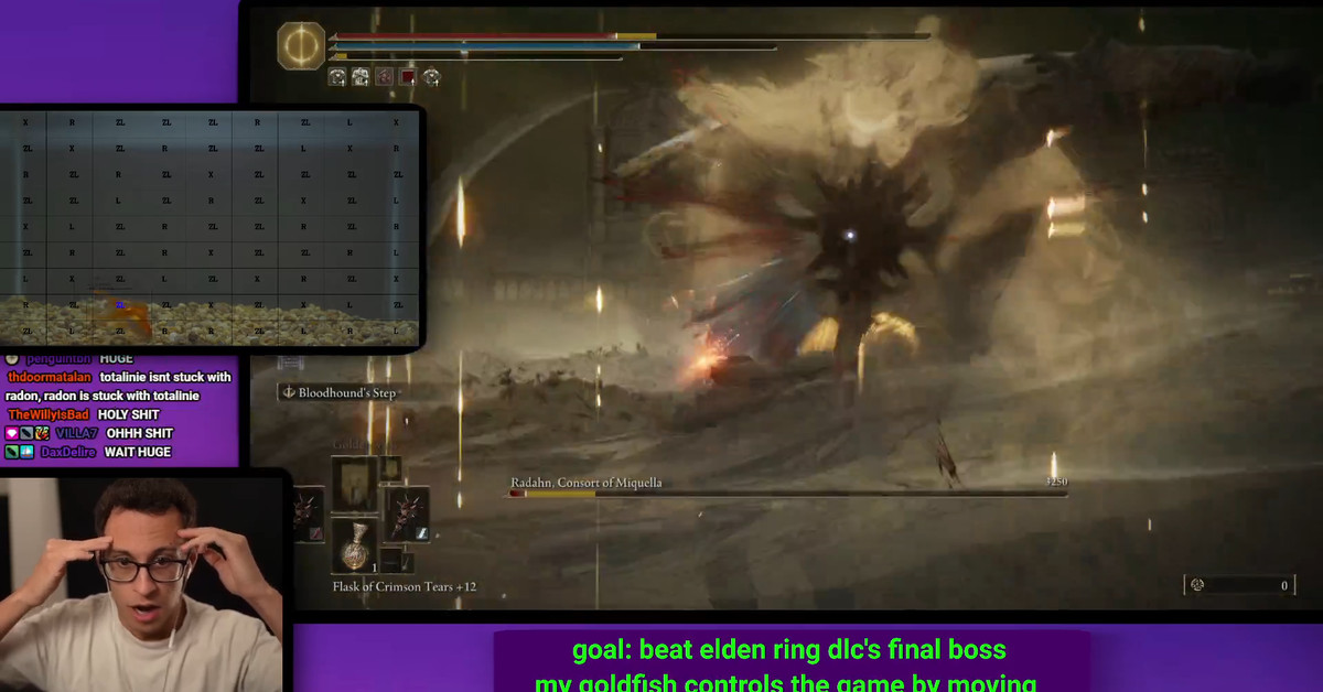 This goldfish beat the Elden Ring DLC’s final boss on Twitch