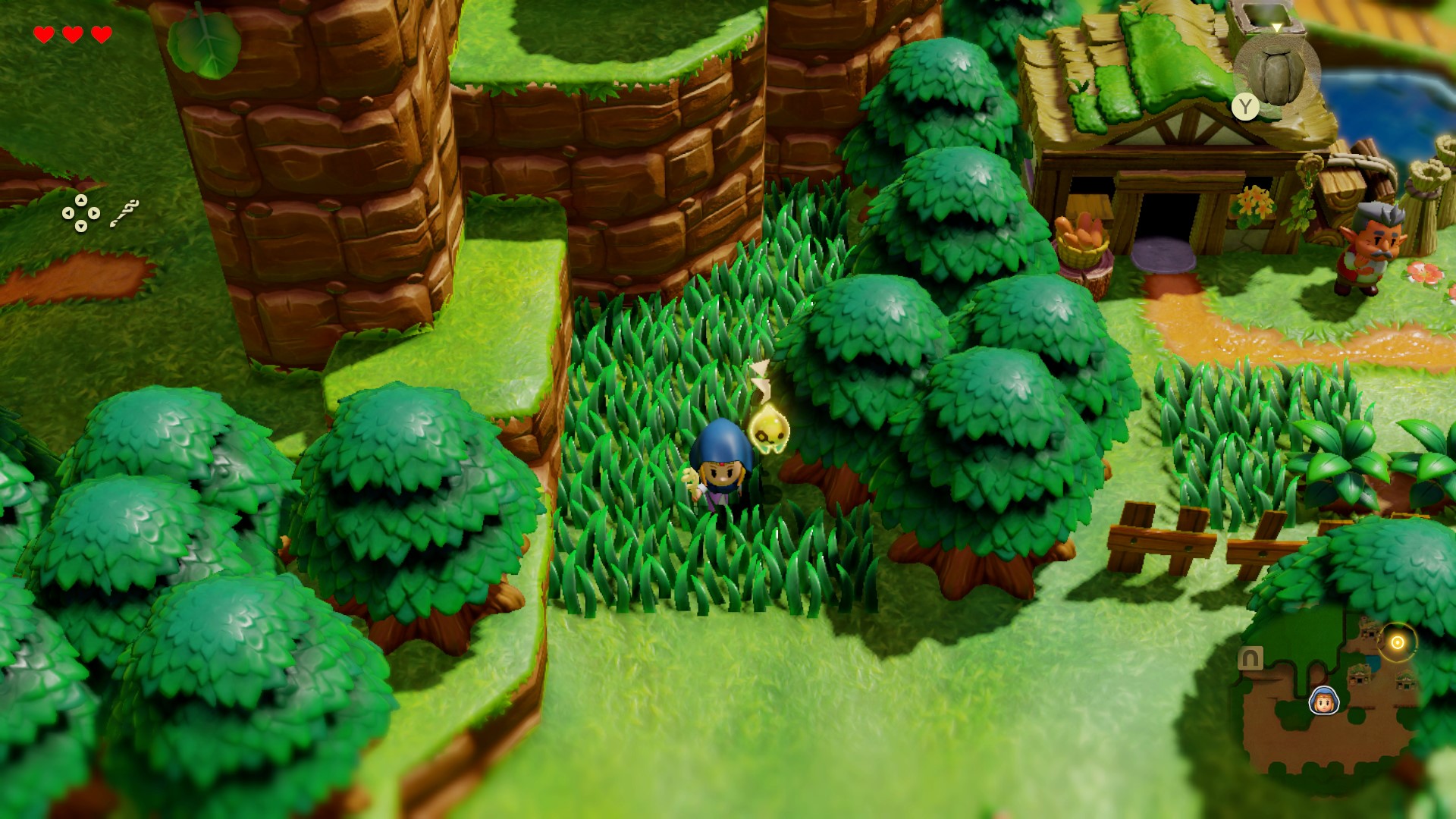 Echoes of Wisdom has somehow perfected the Zelda art of grass-cutting