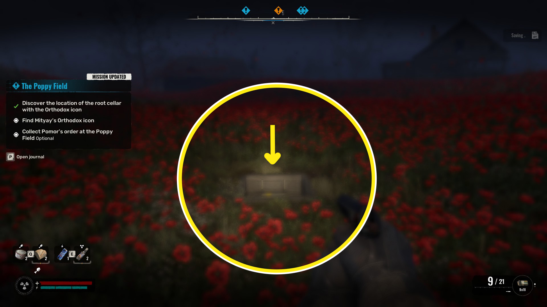 A character with blurry vision walks through the Poppy Field in Stalker 2