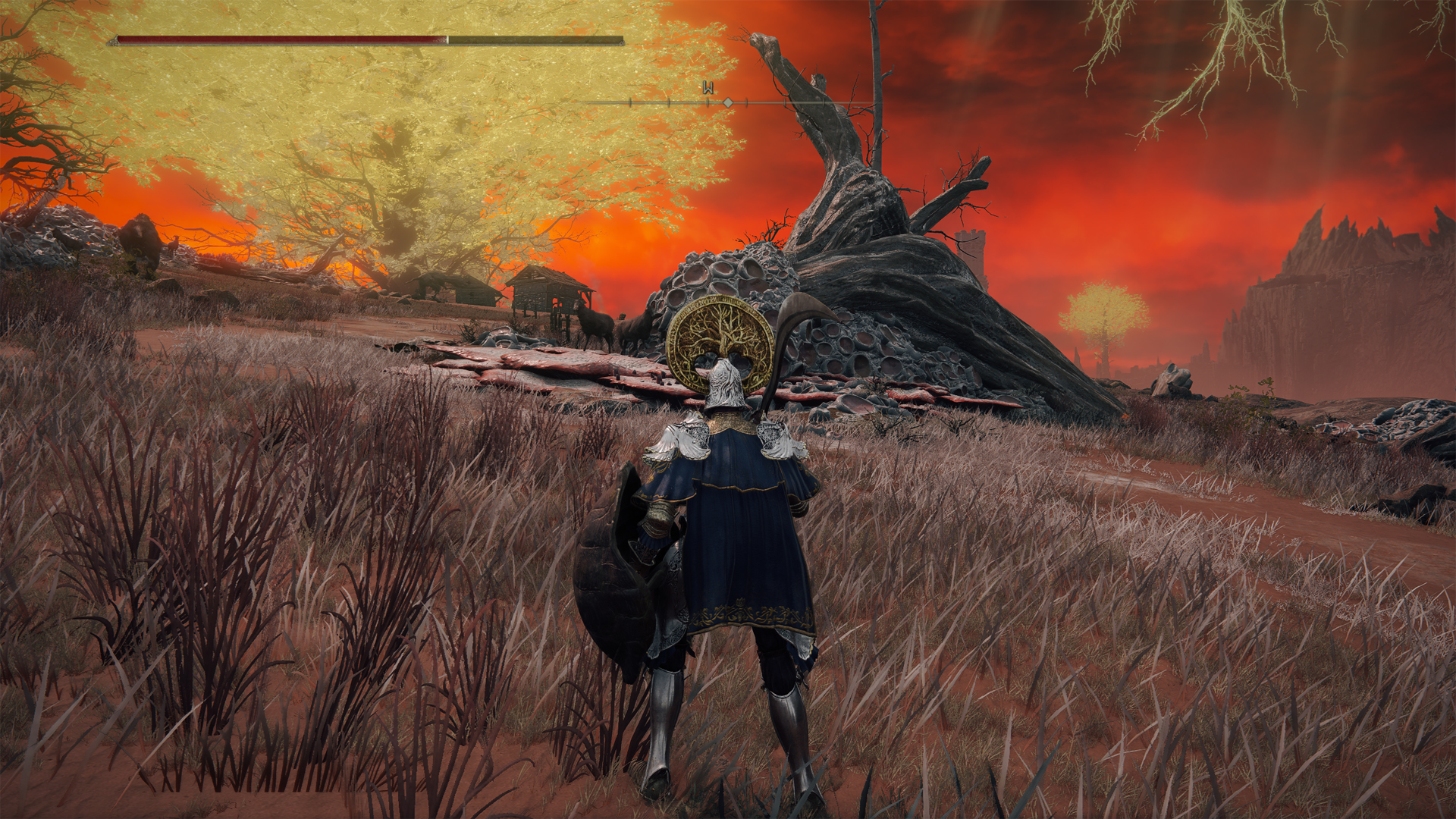 An Elden Ring player stands in a field showing off their vigor soft caps.