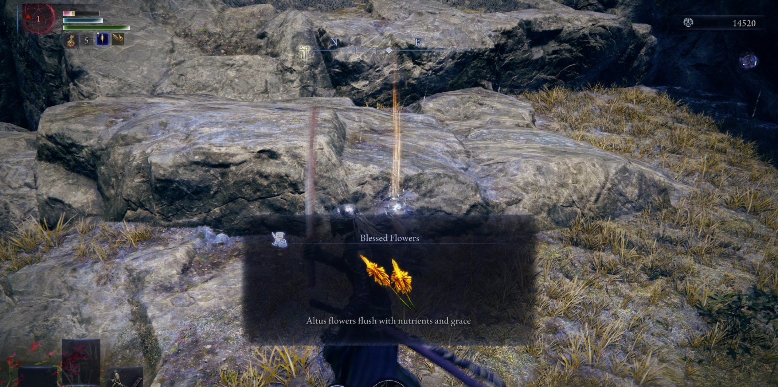 Blessed Flowers in an Expedition in Elden Ring Nightreign