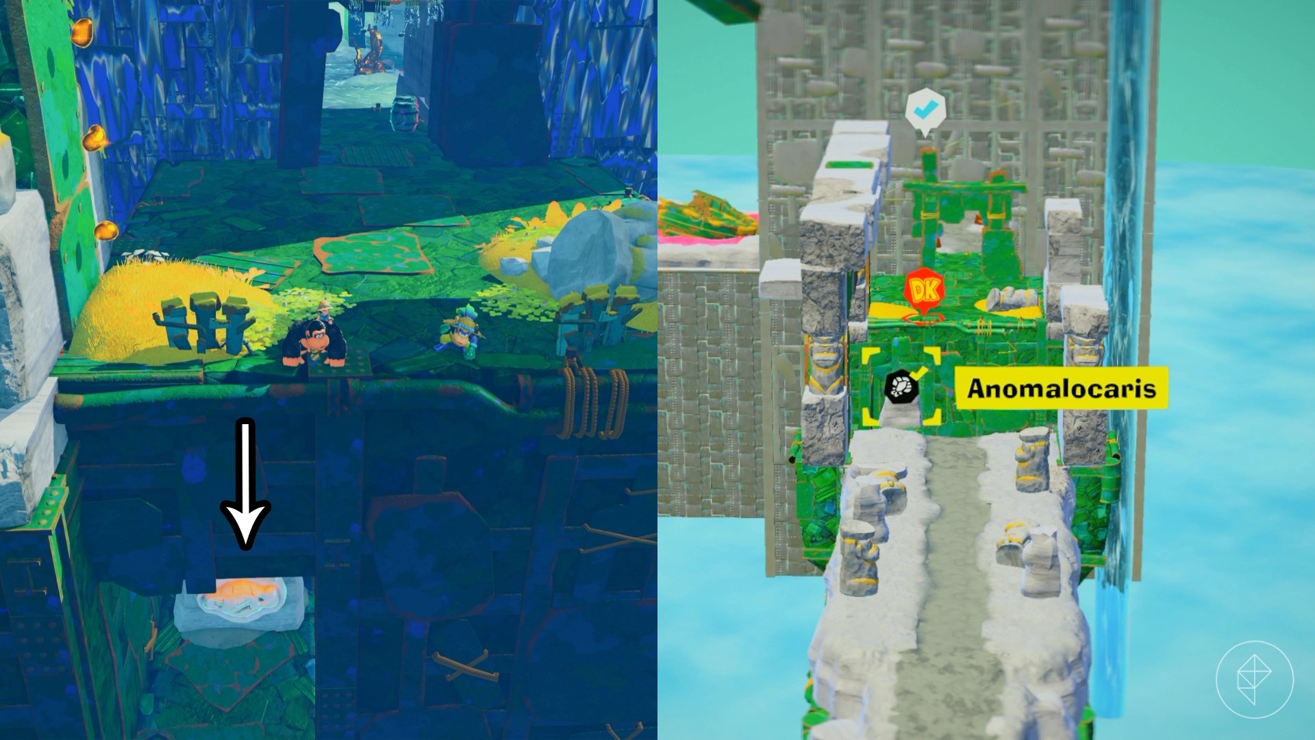 Donkey Kong standing on top of a bridge along with an arrow point downwards towards a fossil in Donkey Kong Bananza.