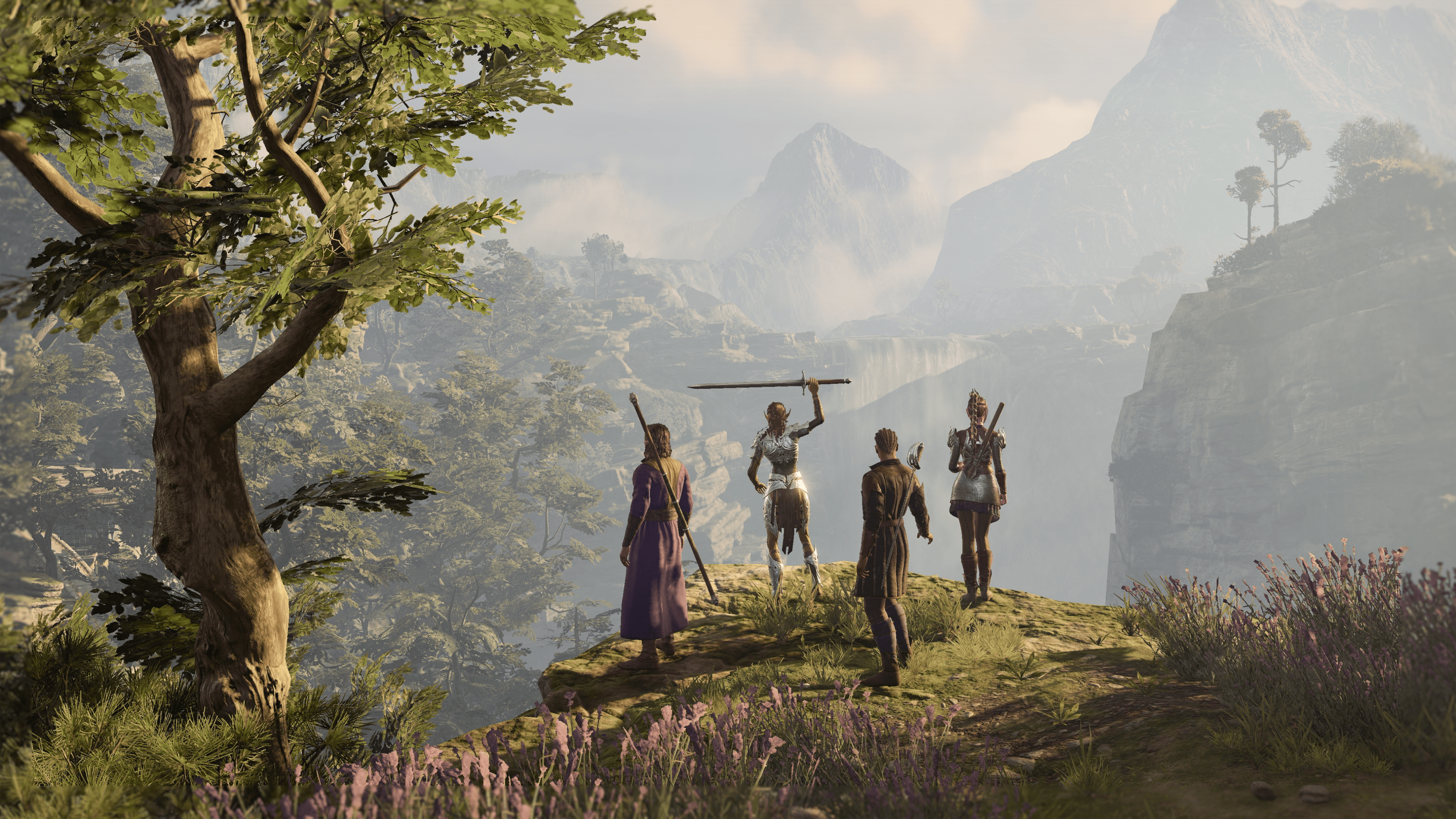 A party of four overlooking a cliff in Baldur’s Gate 3.